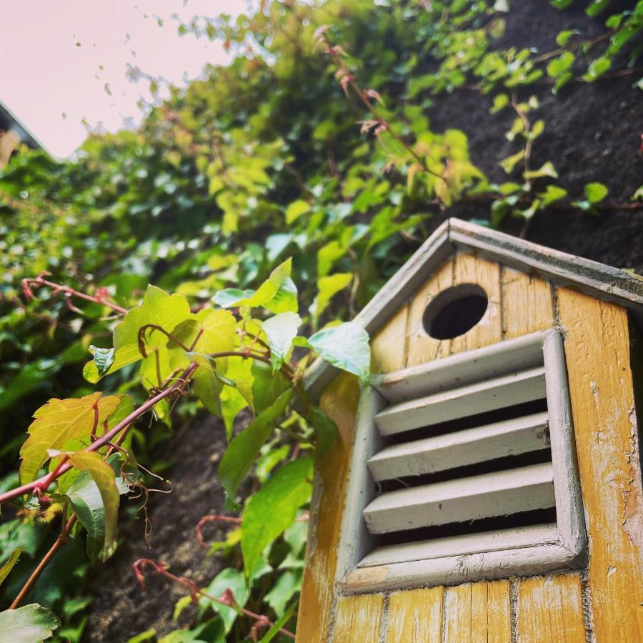 La Maison Aux Murs Anciens Et Ses Chambres Tarbes Bagian luar foto